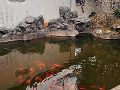 -常熟方塔园