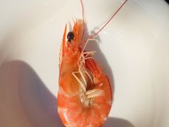 白灼虾-大厝宅海鲜馆