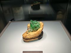 -安徽省地质博物馆