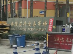-金陵花卉交易市场