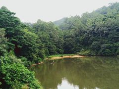 -谷丰健康凤贤居酒家