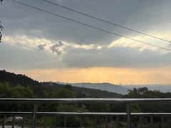 -金水泊山庄·花椒鸡(铁山坪店)