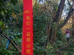-罗田薄刀峰风景区