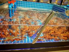 -锅儿欢海鲜火锅烤肉自助餐(东港凯虹店)