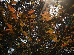 -杭州城北体育公园