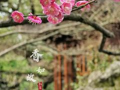 -慧因高丽寺