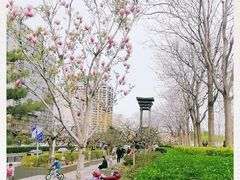 -金宫殿故址