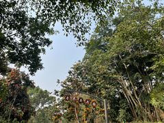 -中国科学院西双版纳热带植物园