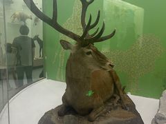 -国家自然博物馆