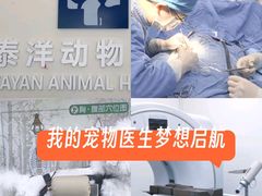 -泰洋动物医院·神经专科·磁共振·CT(天河公园总院)