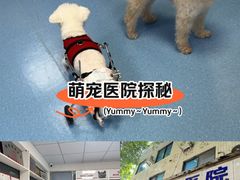 -成都民大动物医院
