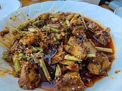 -柏合黄记豆腐皮饭店