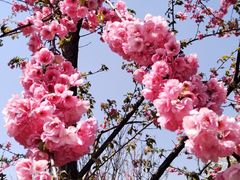 -名花谷生态庄园