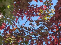 -辽宁大学(崇山校区)