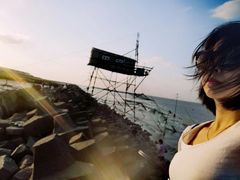 -南汇嘴观海公园