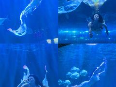 -华夏文旅西安度假区