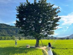 -艾米稻香小镇