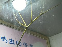 -上海昆虫博物馆