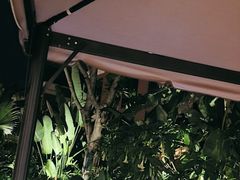 -悦见花开·花园里的火锅·露营·下午茶