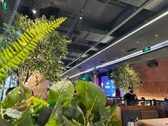 -同仁四季椰子鸡(海岸城天利店)