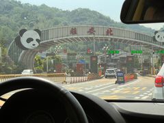 -中国大熊猫保护研究中心雅安碧峰峡基地