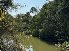 -中国科学院西双版纳热带植物园