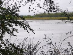 -野鸭湖国家湿地公园