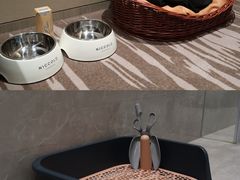 -成都尼依格罗酒店