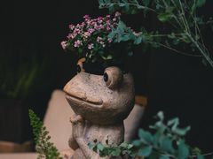 -甘婆婆醪糟汤圆