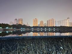 -莲花池公园