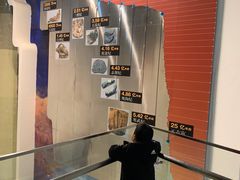 -烟台自然博物馆