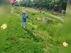 -南京市无想山景区