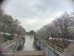 -海珠湖公园