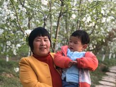 -渭南桃花源民俗文化园