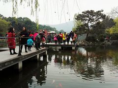 -西湖外事游船(花港观鱼码头)