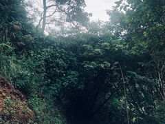 -羚羊峡古栈道森林公园