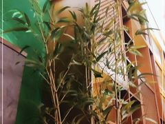 -端艾堂·SPA·艾灸(棕榈泉013店)