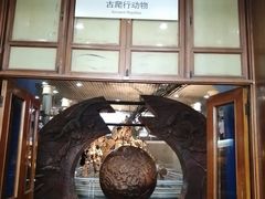 -国家自然博物馆