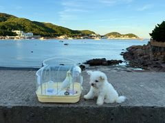 -乌石塘景区