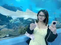 -合肥海洋世界