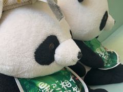 -眉州东坡·熊猫主题餐厅(枫蓝店)