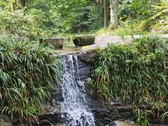 -素山寺森林公园