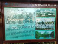 -大湾区中央湿地公园
