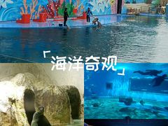 -北戴河圣蓝海洋公园