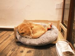 -三目仓咖啡(贤南路店)