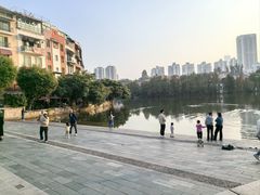 -华侨城湿地公园
