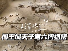 -洛阳周王城天子驾六博物馆