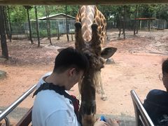 -清迈夜间动物园