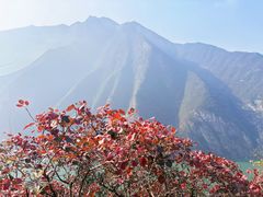 -白帝城·瞿塘峡景区