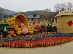 -无锡动物园·太湖欢乐园